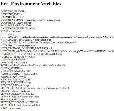perl-environment-test.jpg