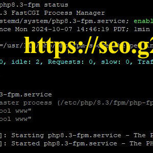 安装 Ubuntu 24.04 (LTS)， Webmin， Nginx， MariaDB， PHP8.3-FPM，Perl-Fastcgi 到 DigitalOcean 的 VPS（4）