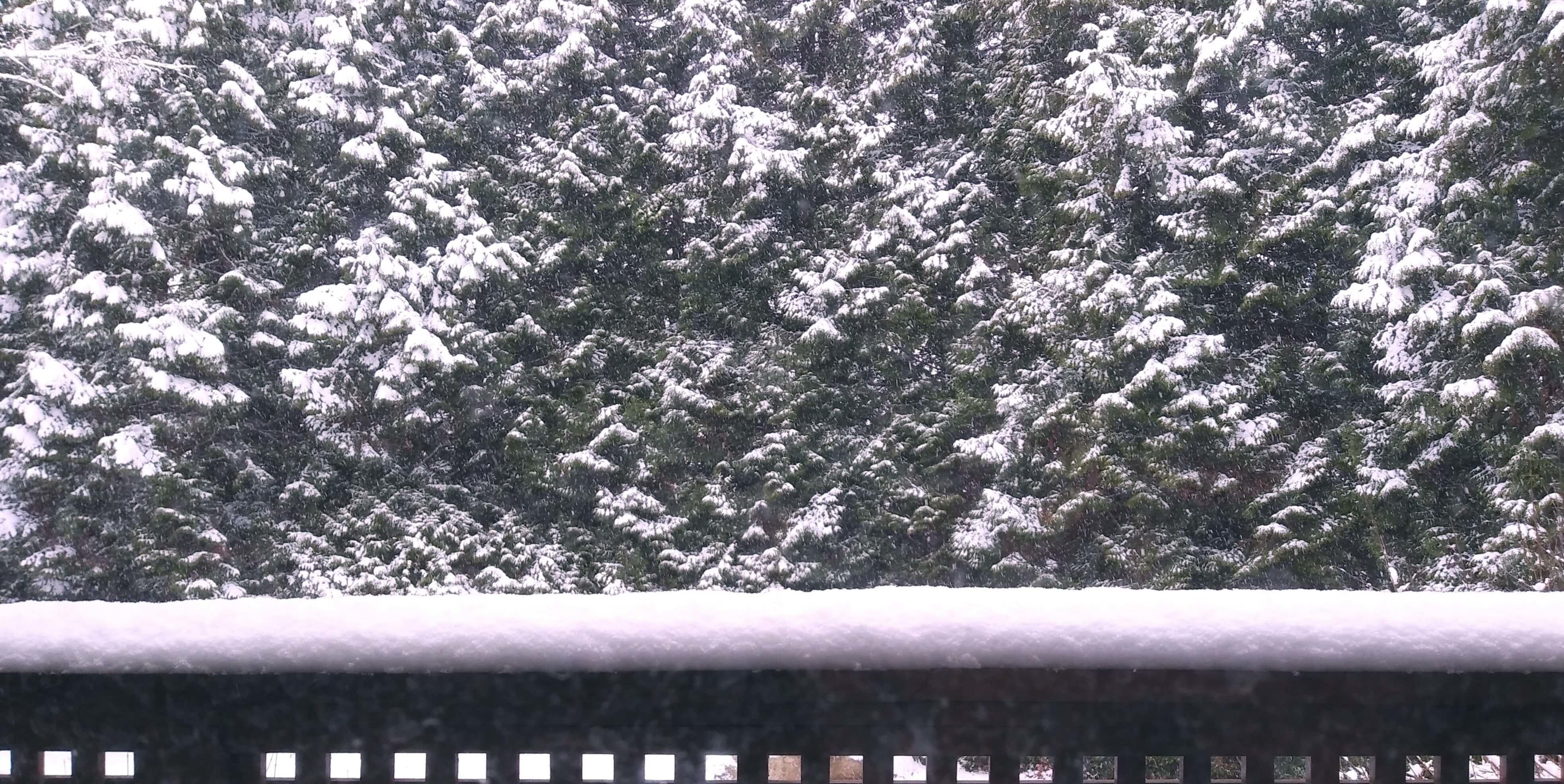 https://seo.g2soft.net/images/snow.jpg